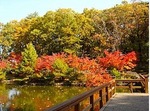 Botan'en Sukagawa.jpg